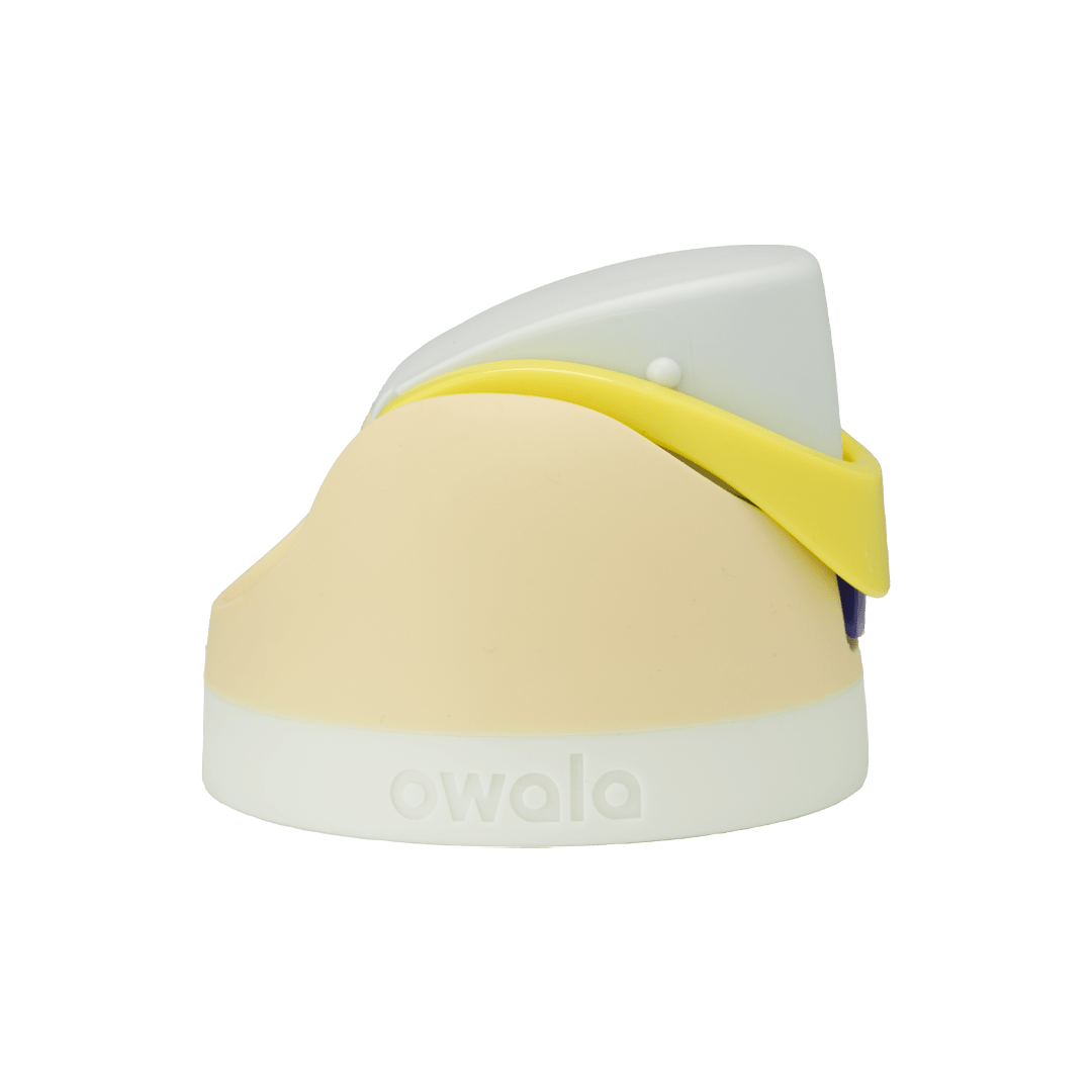 Brunch Bunch FVL0
