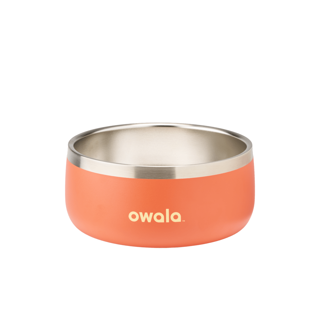 Pet Bowl G8NK