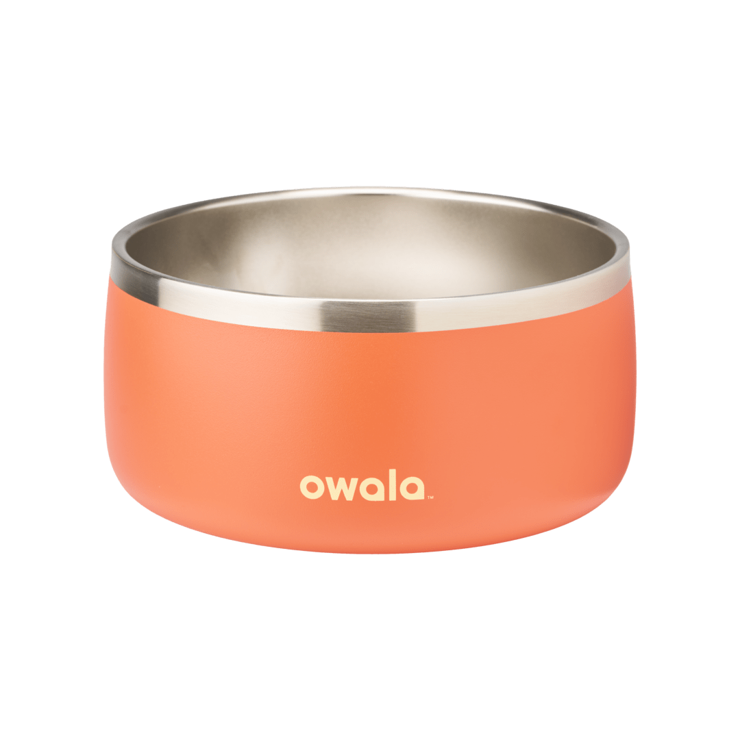 Pet Bowl G8NK