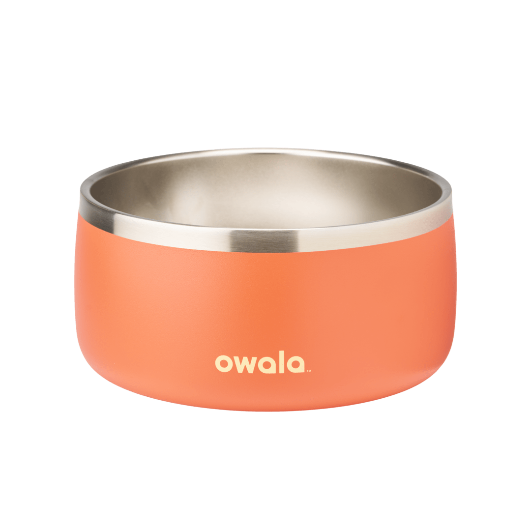 Pet Bowl G8NK