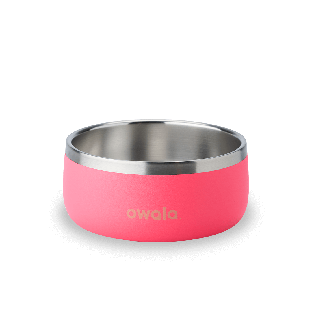 Pet Bowl G8NK