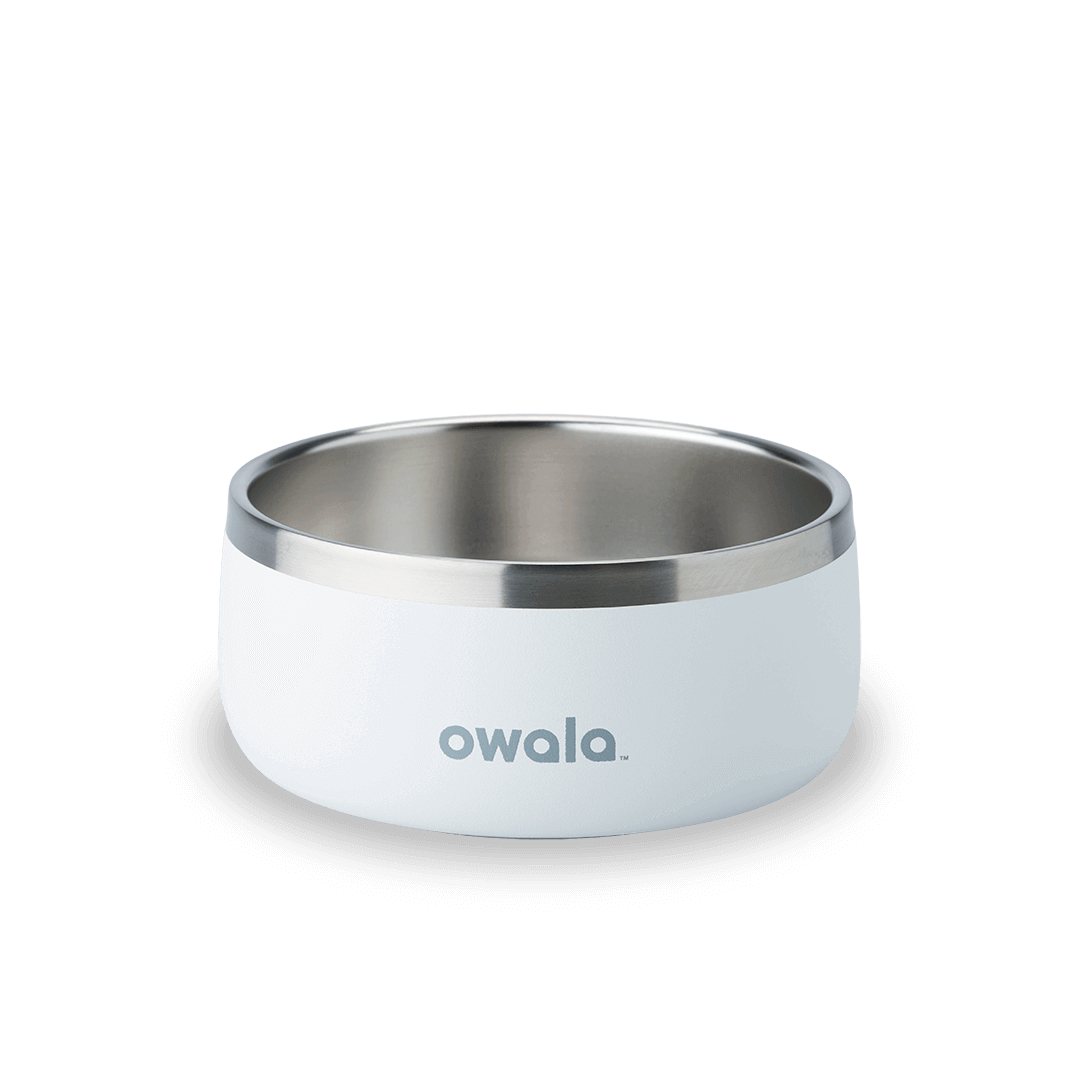 Pet Bowl G8NK