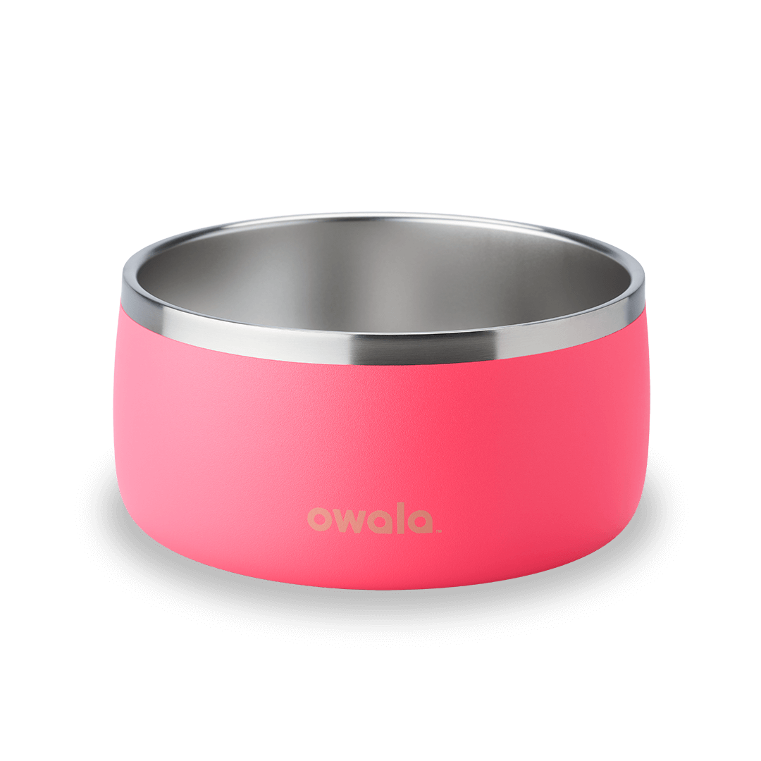 Pet Bowl G8NK